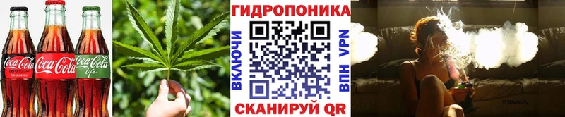 Cannafood конопля  где купить наркотик  Данков 